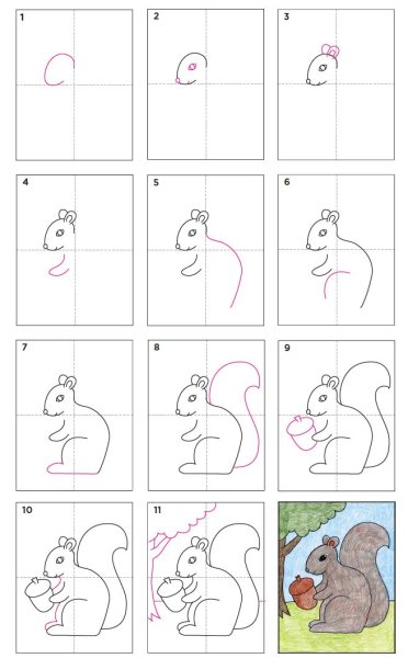 Как нарисовать белочку поэтапно