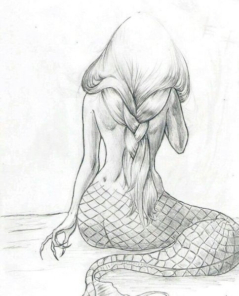 Русалка рисунок карандашом