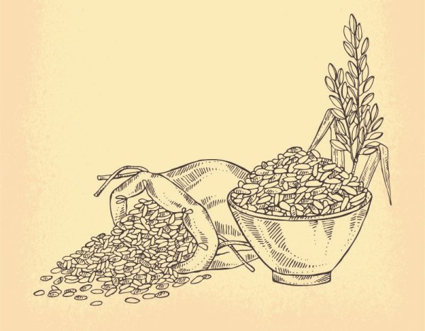 Схема рисования натюрморта в подготовительной группе