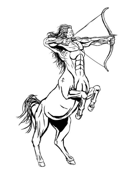 Стрелец Sagittarius