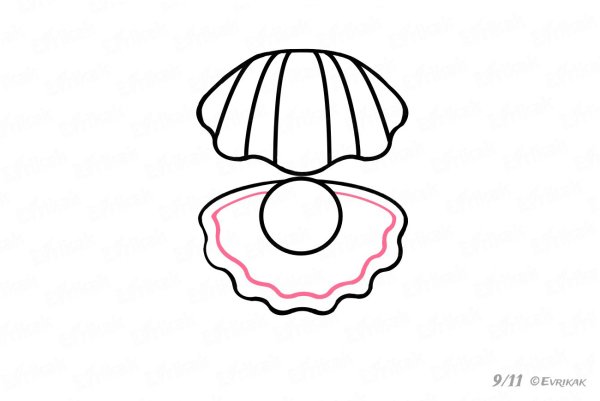 Поэтапное рисование ракушек