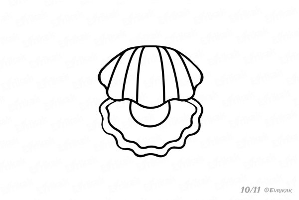 Раковина с жемчужиной контур