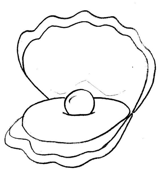 Раскраска Жемчужина в раковине