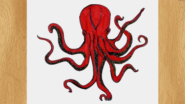 Пошаговое рисование осьминога