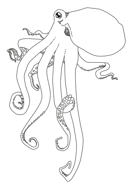 Осьминог карандашом