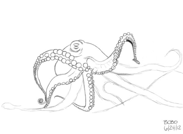 Как нарисовать Кракена поэтапно