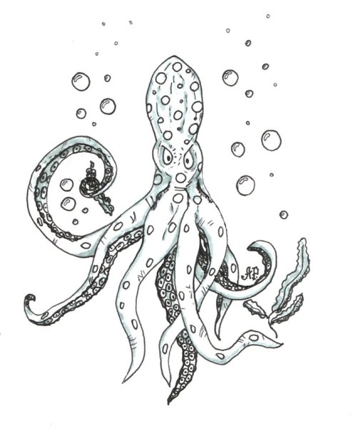 Осьминог для срисовки