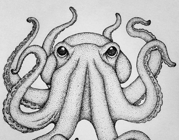 Арт терапия осьминог