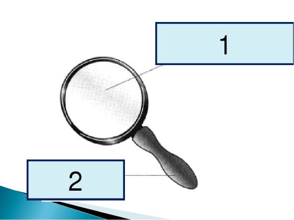 Строение лупы с подписями