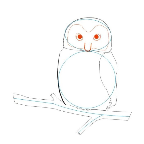 Рисунок Совы на ветке поэтапно