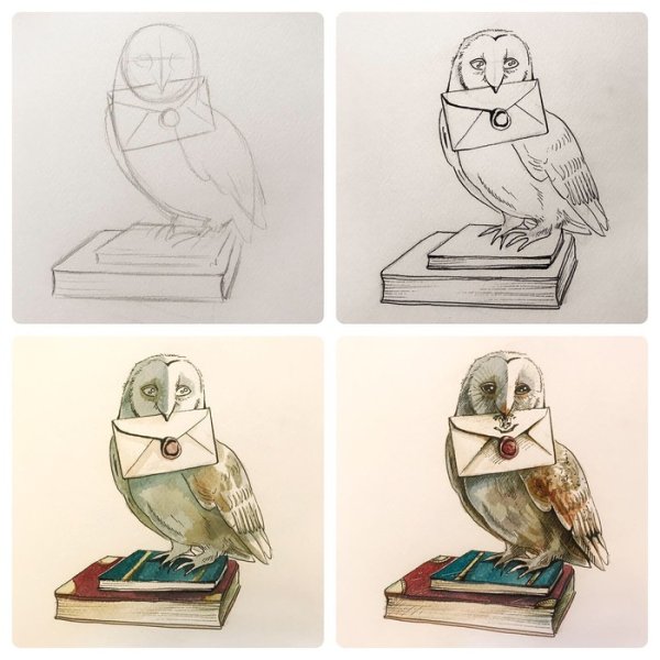 Сова Гарри Поттера акварель