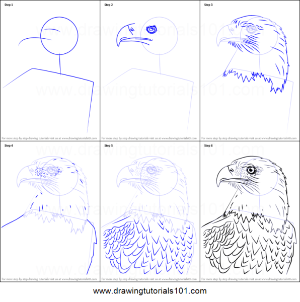 Орел рисунок пошагово