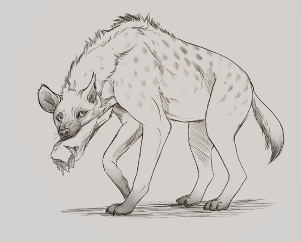 Ферал гиены