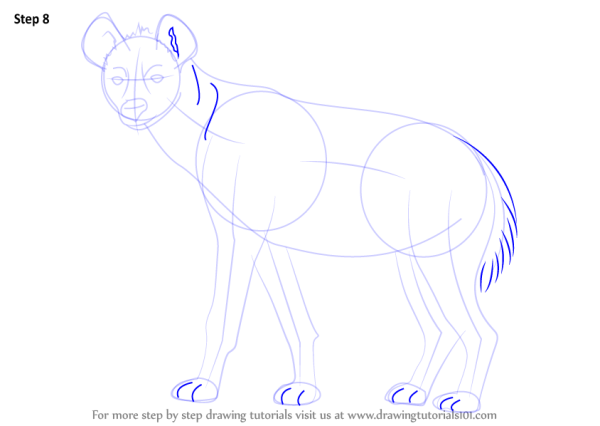 Нарисовать гиену поэтапно