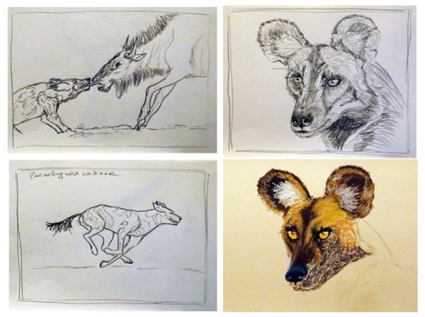 Гиены референсы для художников