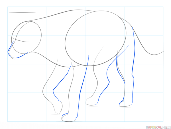 Нарисовать гиену поэтапно