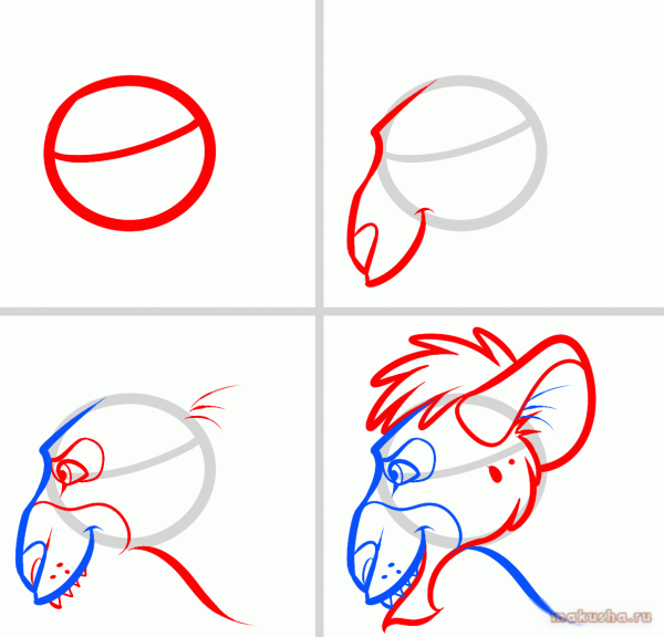 Как рисовать гиену карандашом поэтапно