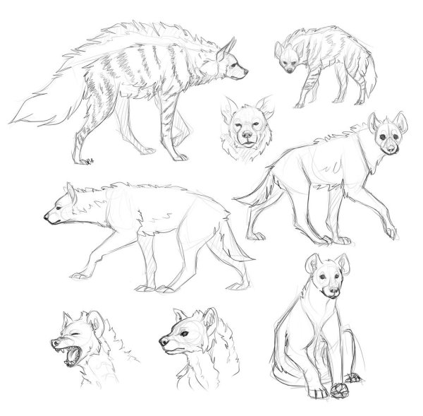 Гиена туториал