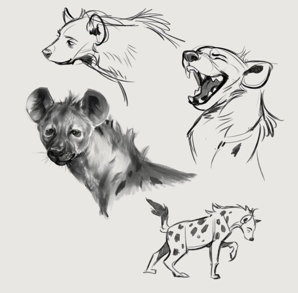 Тату эскизы гиены маленькая