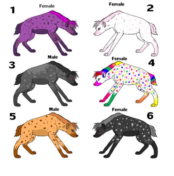 Как нарисовать гиену пошагово легко