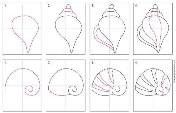 Поэтапное рисование ракушек
