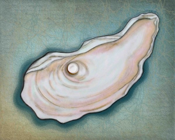 Нарисованная Ракушка с жемчугом