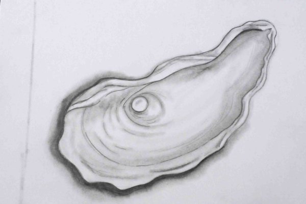 Жемчужина карандашом