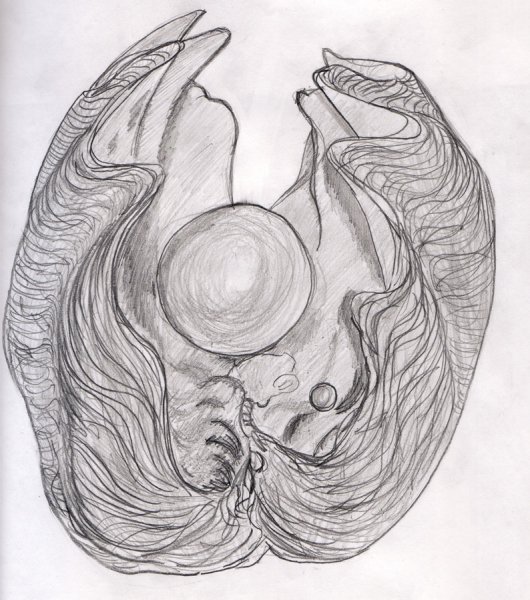 Анатомический рисунок жемчуг