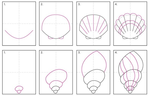 Поэтапное рисование ракушек
