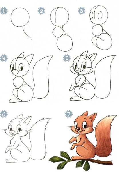 Как нарисовать белку