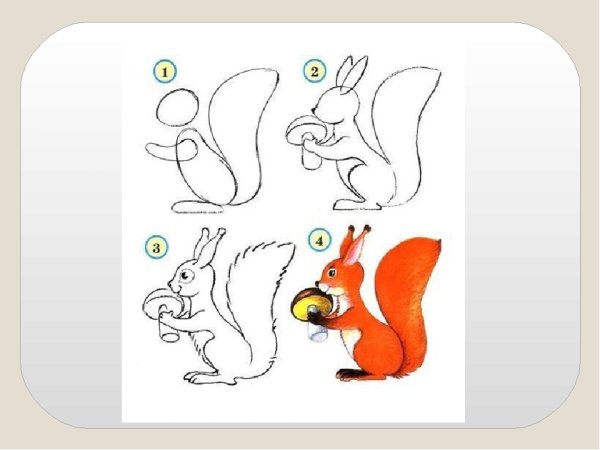 Урок рисования белочки