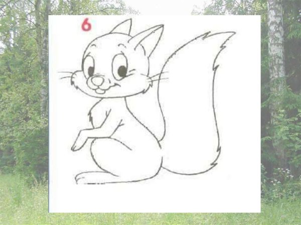 Поэтапное рисование белк