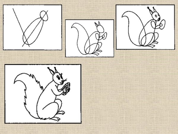 Схема рисования белочки для дошкольников