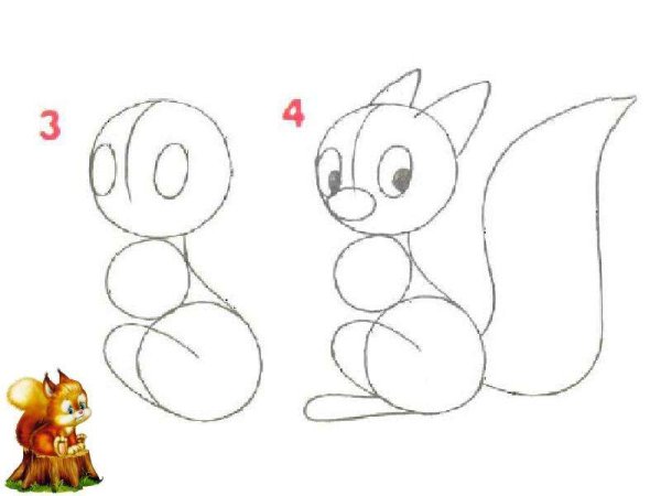 Поэтапное рисование белочки