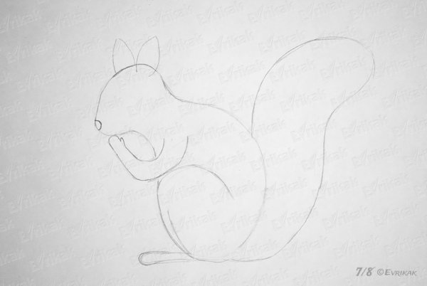 Поэтапное рисование белки с орешком