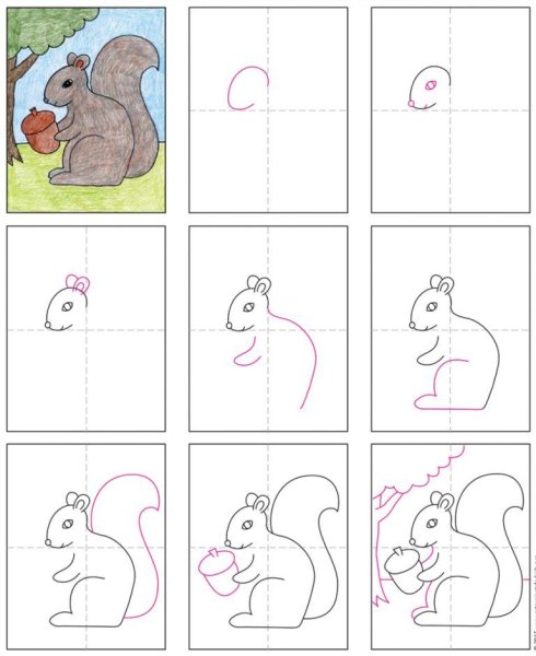 Белка этапы рисования