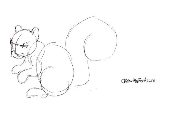 Белка рисунок карандашом поэтапно для начинающих