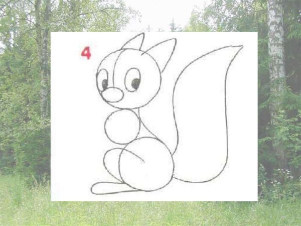 Рисование белочки пошагово для детей