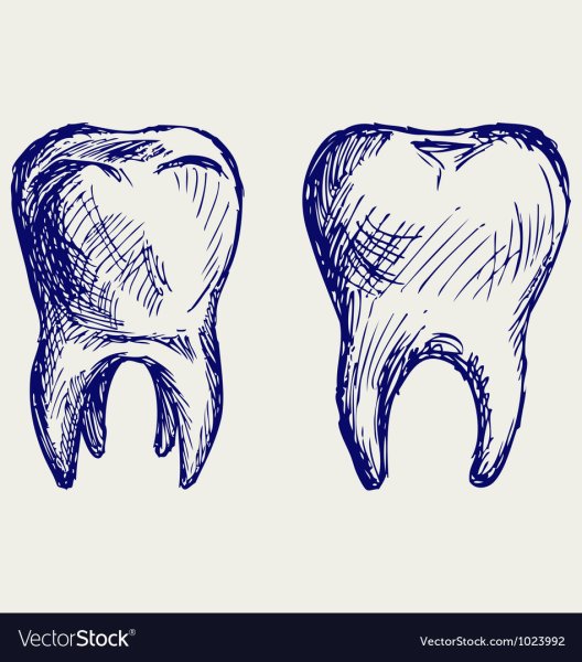 Зубы для рисования