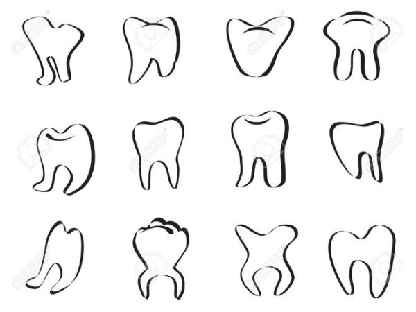 Зубы карандашом поэтапно