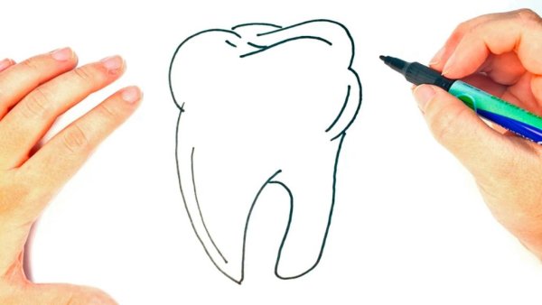 Уроки рисования зубов