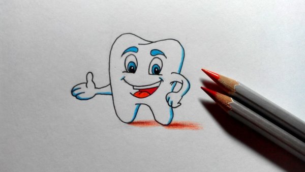Зуб нарисовать карандашом