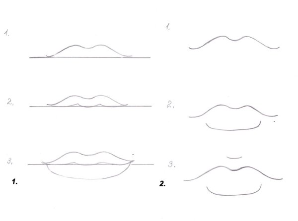 Референс ухо анатомия