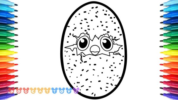 Моржики Хетчималс разукрашки