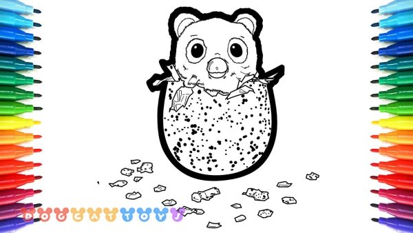 Hatchimals раскраска