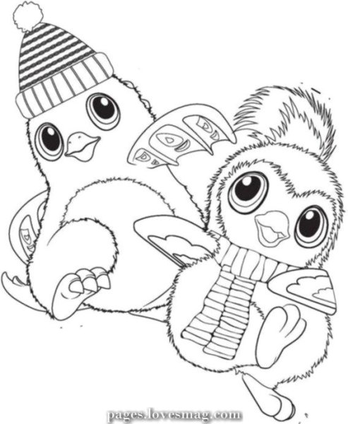 Хетчималс рисунок цветной