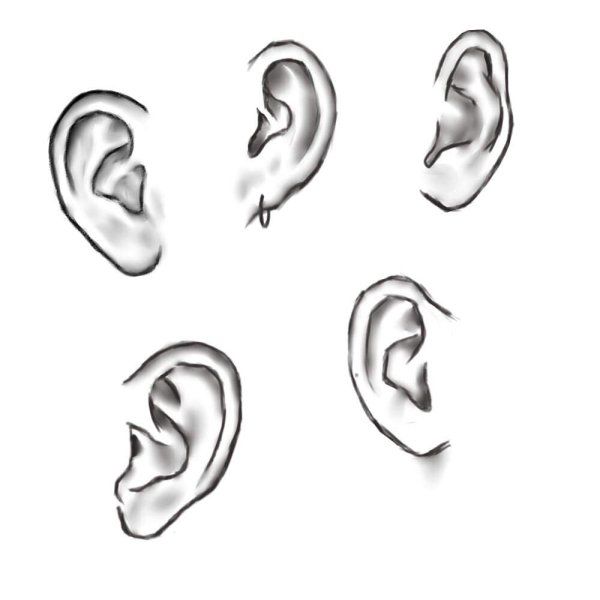 Стилизованные уши