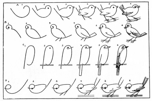 Схема рисования птиц