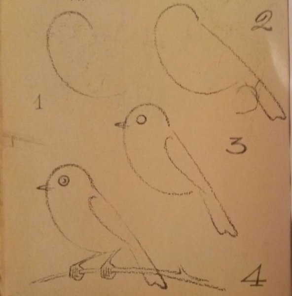 Малиновка птичка рисование