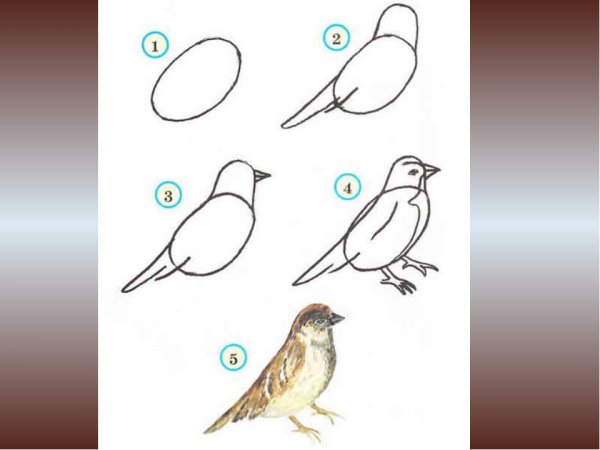 Рисование воробья